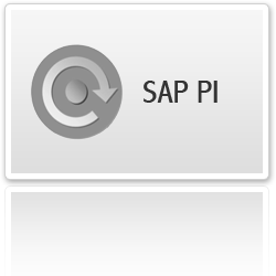 Consultoría SAP Process Integrator (SAP PI)