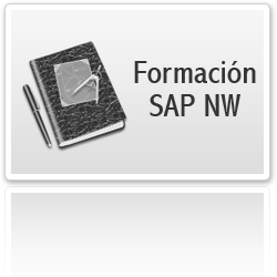 Formación SAP NetWeaver
