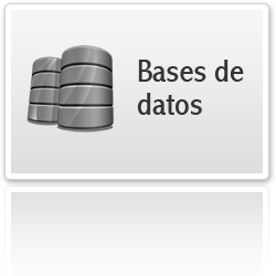 Bases de datos