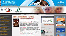 Feique Web Creation