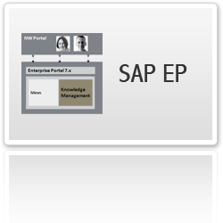 SAP EP Consultants