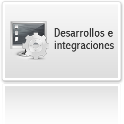 Desarrollos e Integraciones SAP