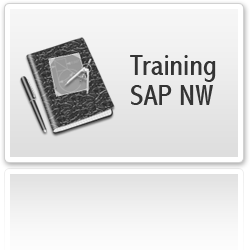 Training SAP Formation