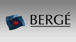 BERG - SAP PI