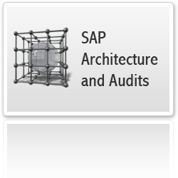Architecture and Audits