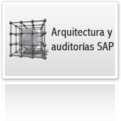 Arquitectura y AuditorÃ­as SAP